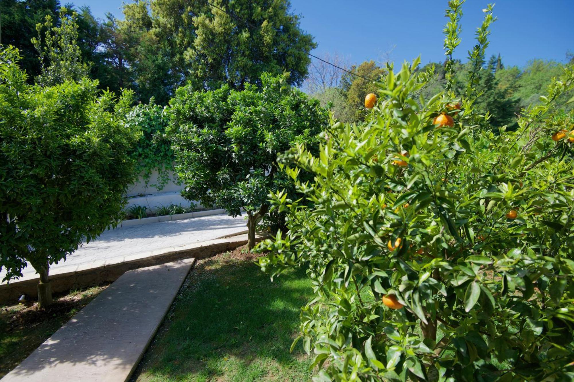 Villa Natilia Gazátika Zewnętrze zdjęcie